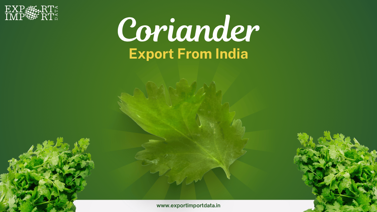 coriander export from India