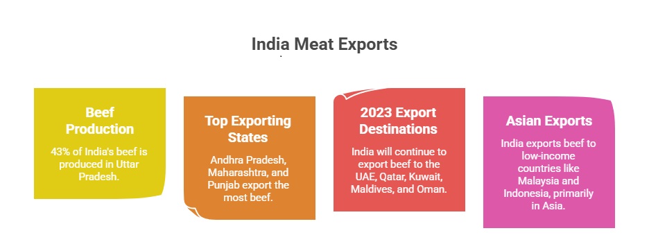 Meat Export from India: 2024-25 Insights