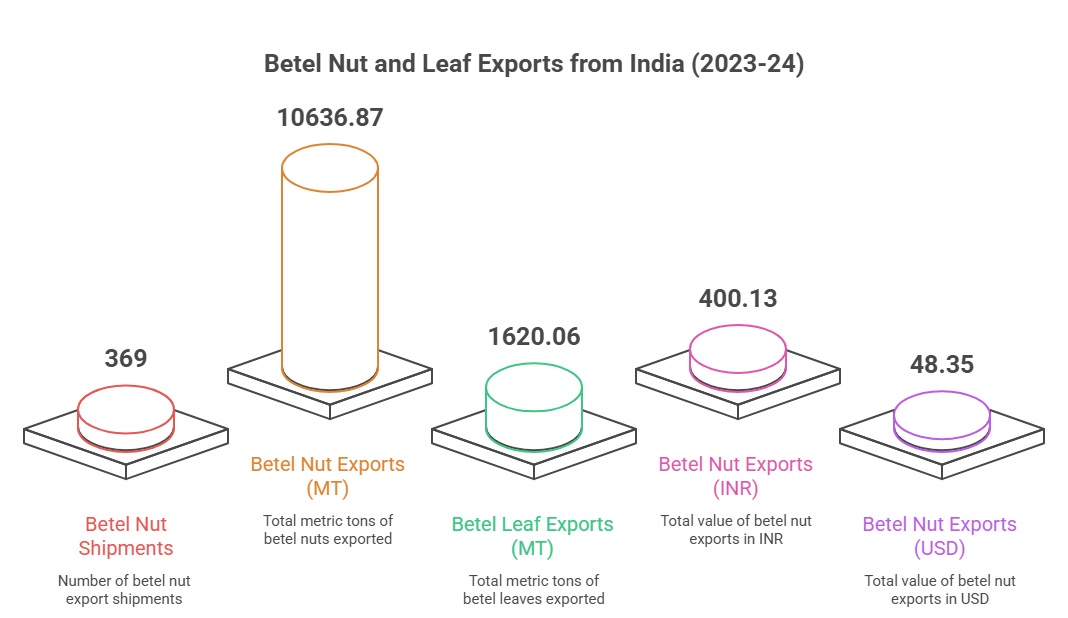 Betel Nut Export from India: 2023-24