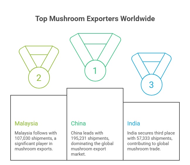 Mushroom Export Data 2024-25 Analysis
