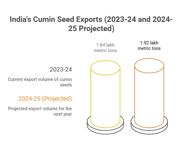 Cumin Seed Export from India: 2023-24