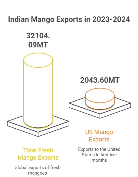 Why is Mango Export From India Booming in 2024?