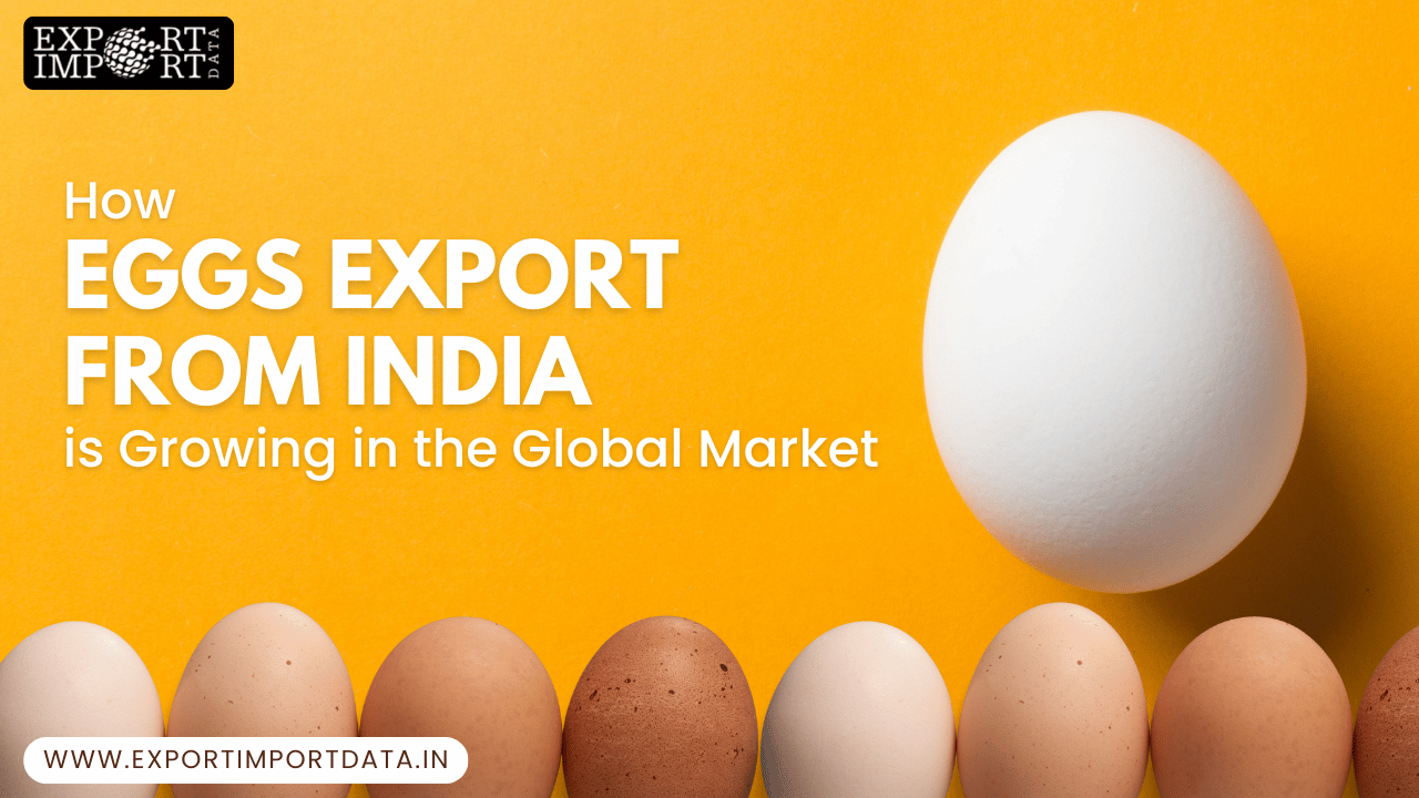 How Eggs Export from India is Growing in the Global Market